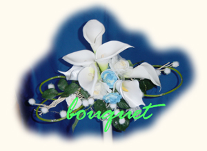 �u�[�P